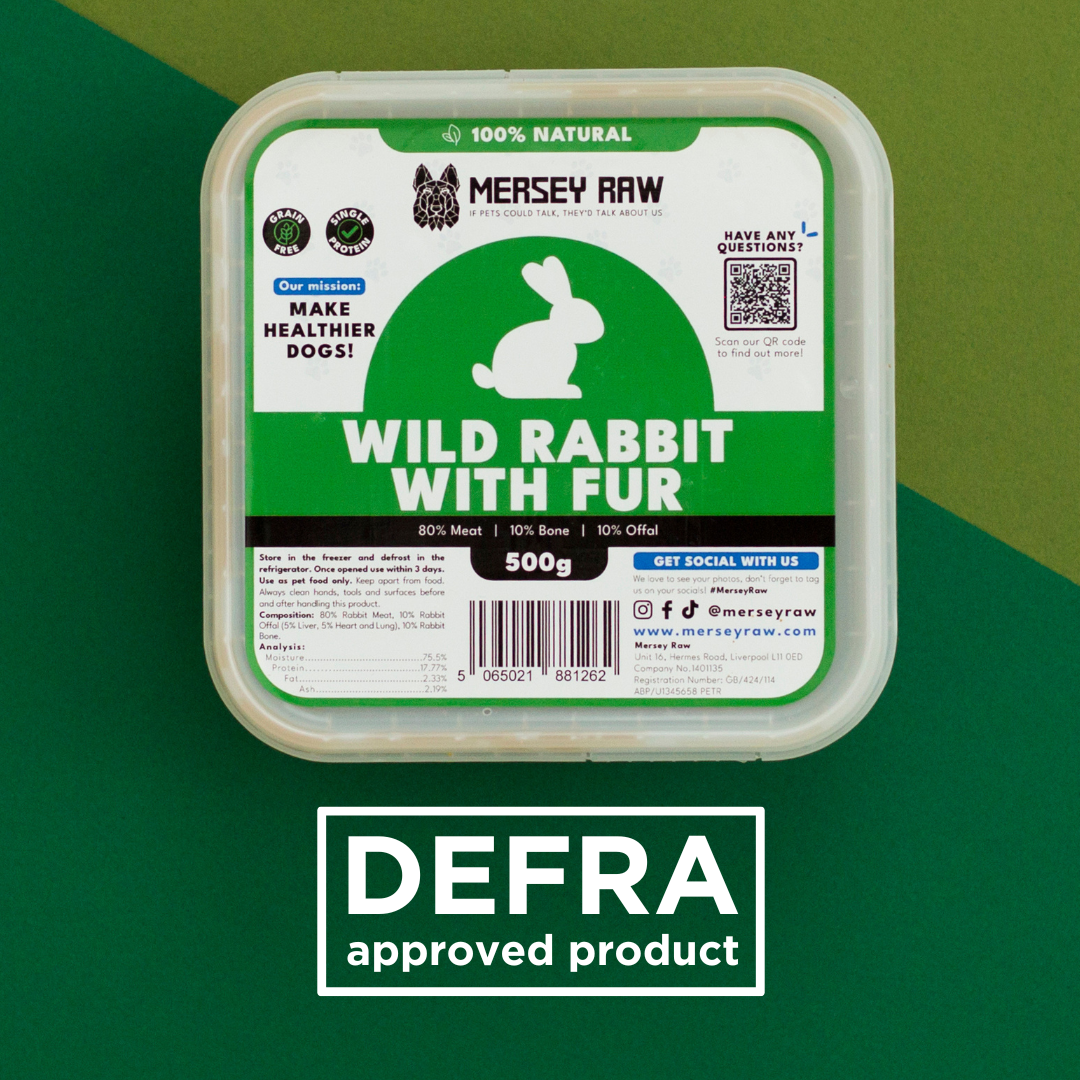 Wild Rabbit With Fur Raw Dog Food - 500g