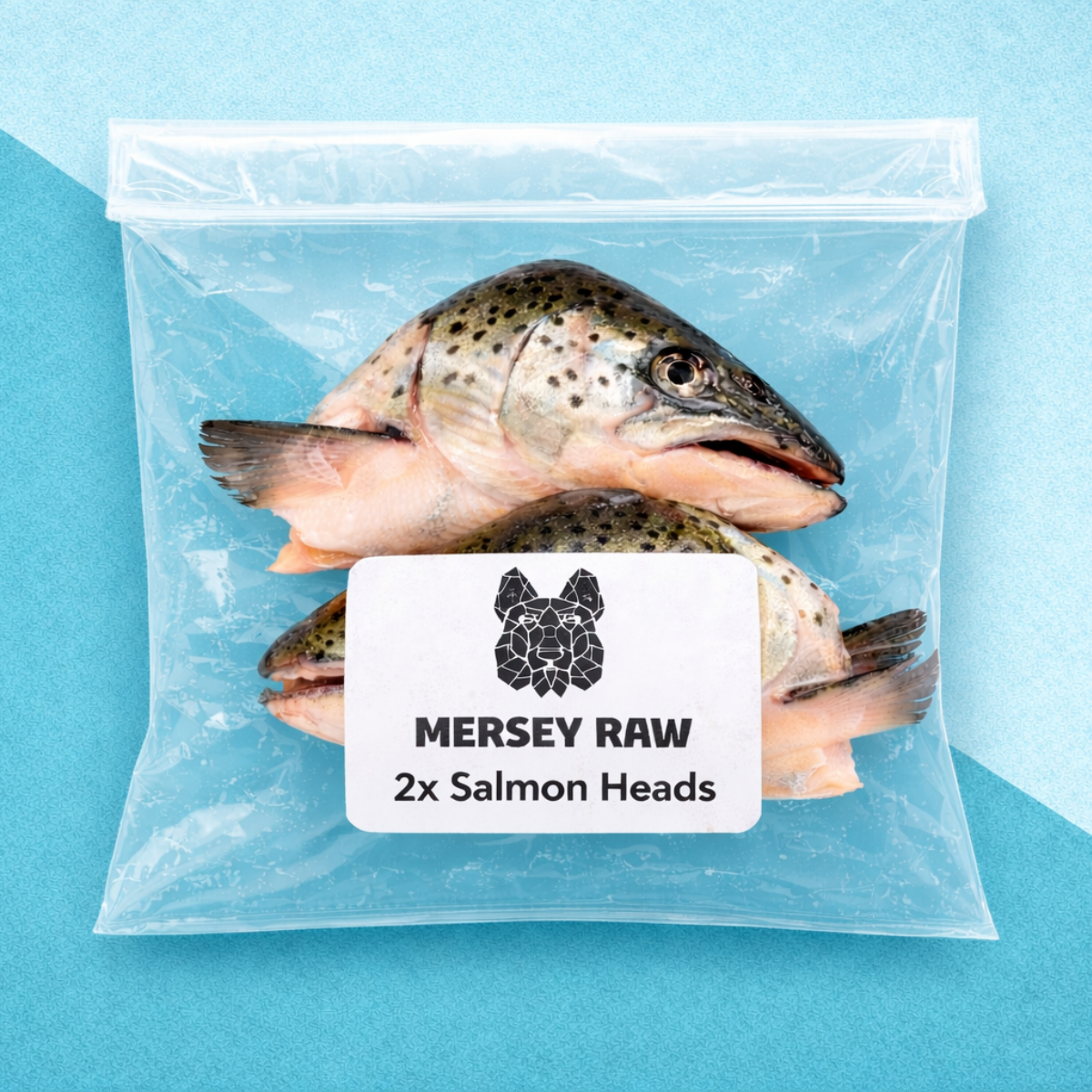 2 Salmon Heads