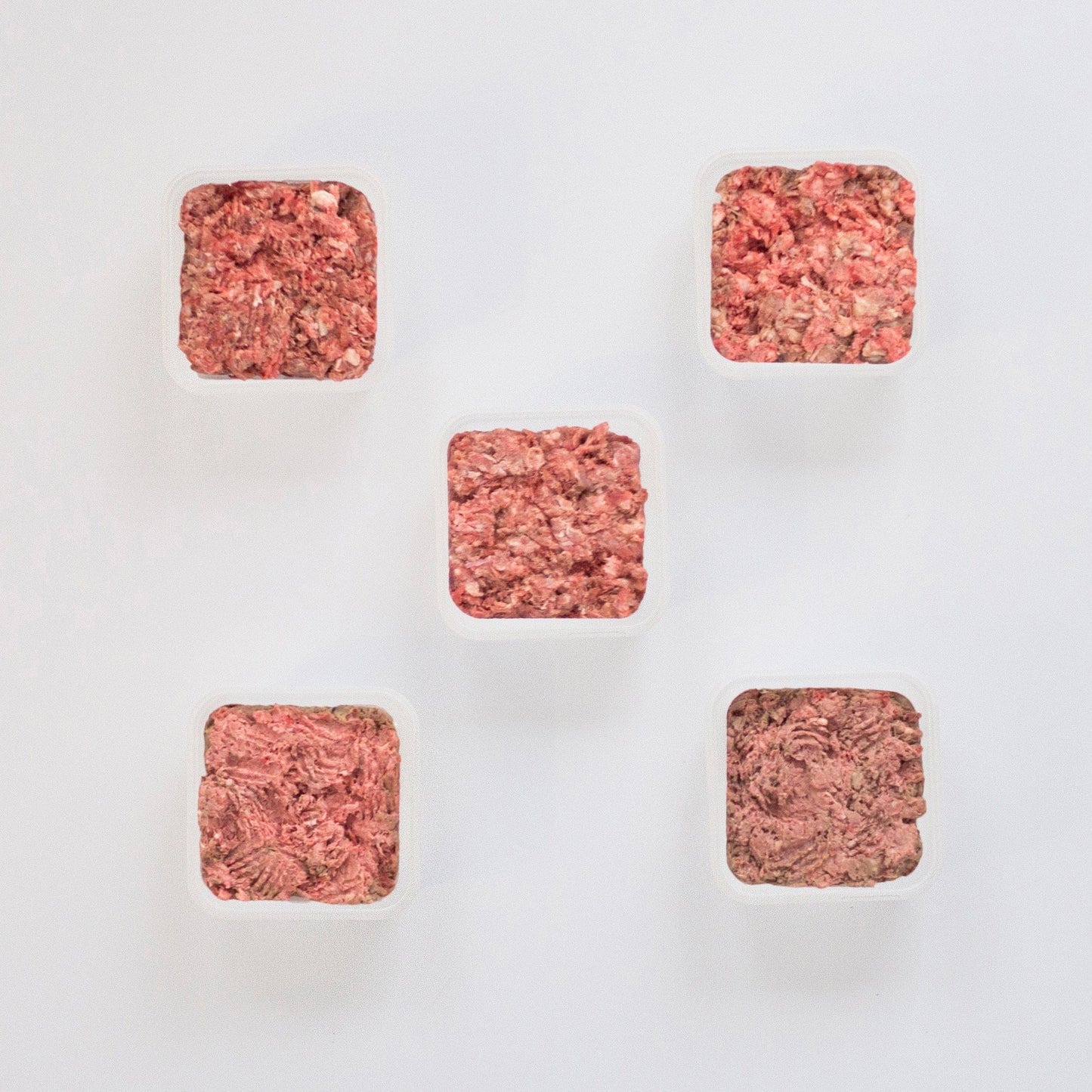 Exotic Raw Dog Food Bundle