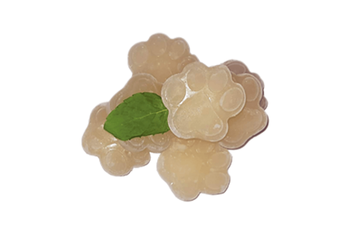 Alexanders Natural Goat Milk and Chia Seeds Kefir Pawz Mersey Raw Dog