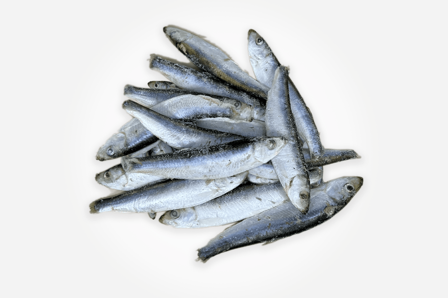 merseyraw Frozen Sprats - 1kg Bag