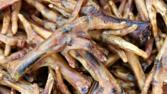 Are Chicken Feet Good for Dogs?