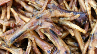  Are Chicken Feet Good for Dogs?