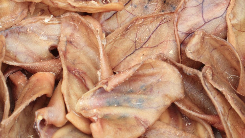 Are Pigs' Ears Good for Dogs?