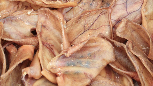 Are Pigs' Ears Good for Dogs?