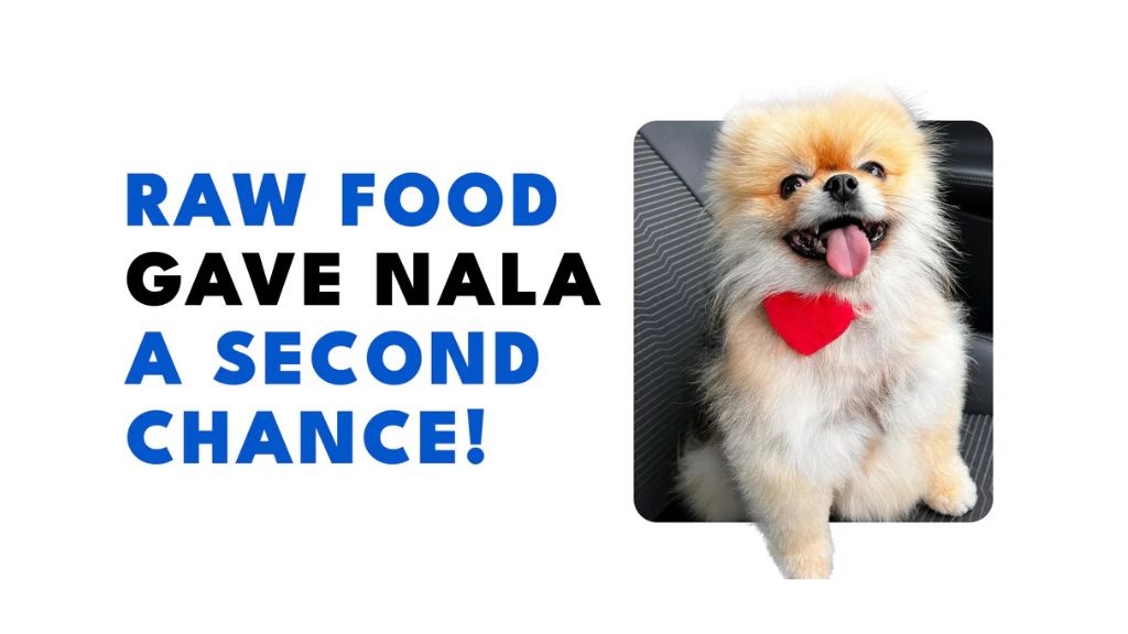 Nala's journey from black skin disease to pure happiness