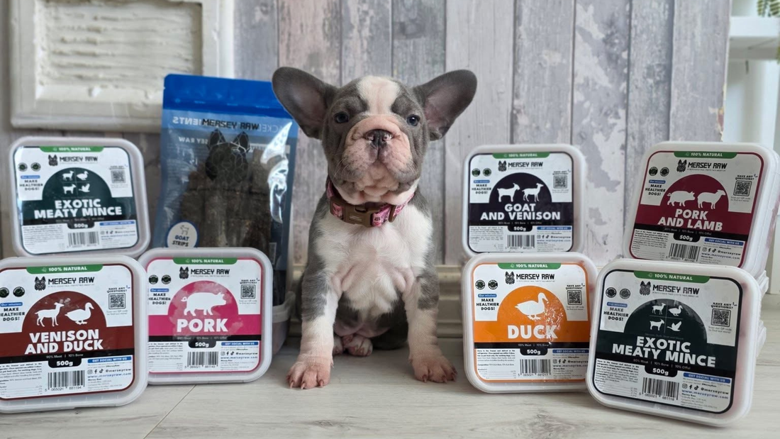 The Ultimate Raw Dog Food Feeding Guide