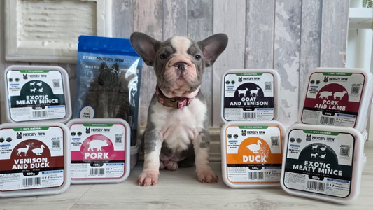 The Ultimate Raw Dog Food Feeding Guide