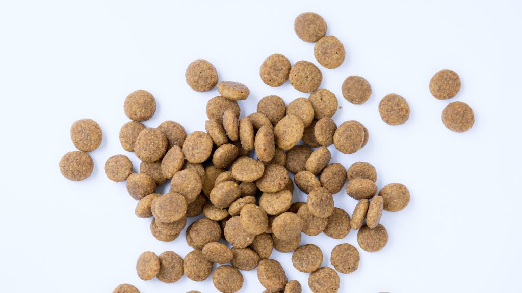 What is Kibble?