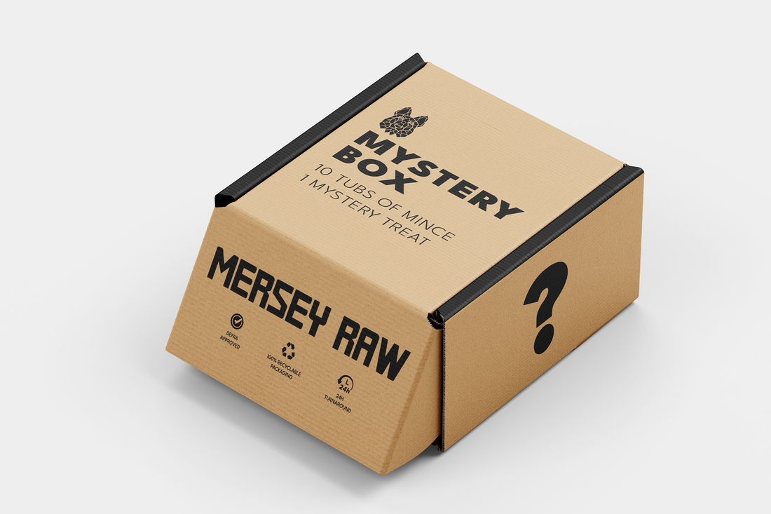  Mystery Box
