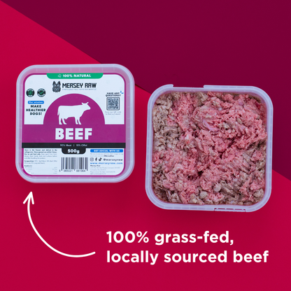Beef Raw Dog Food - 500g