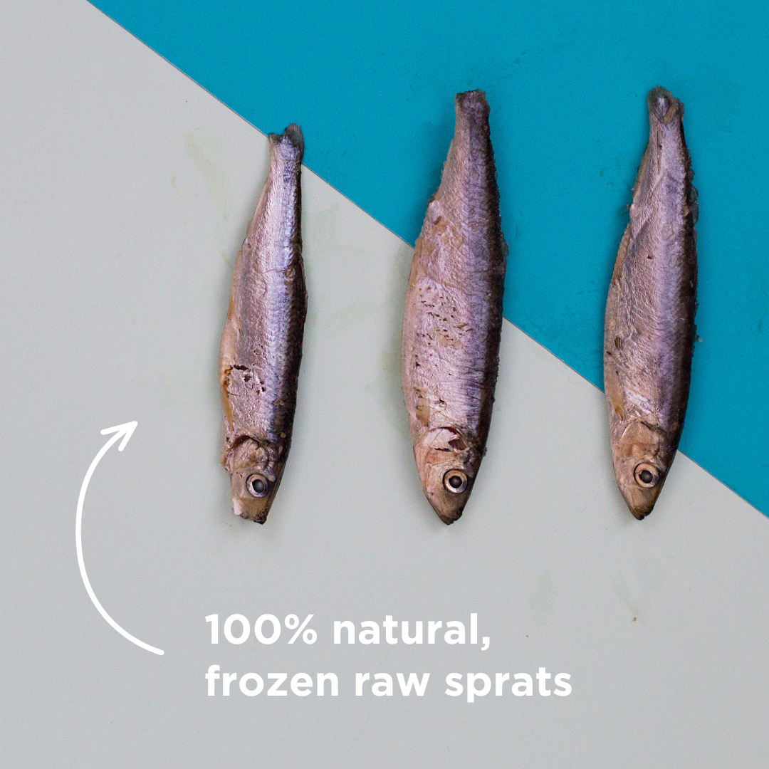 Frozen Raw Sprats - 1kg