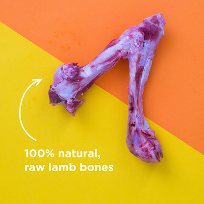Mixed Bag Raw Lamb Bones - 1kg