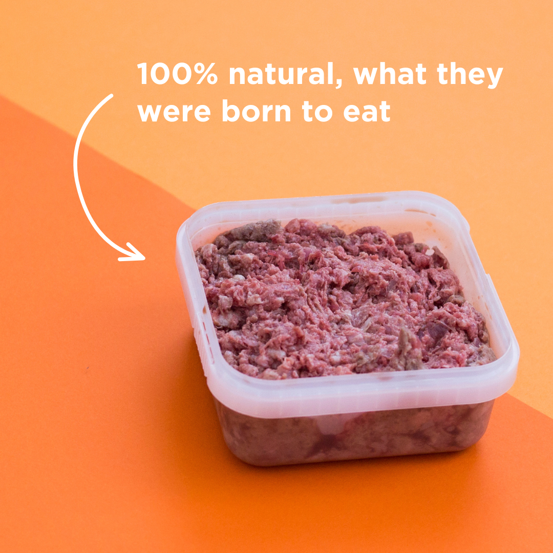 Duck Raw Dog Food - 500g