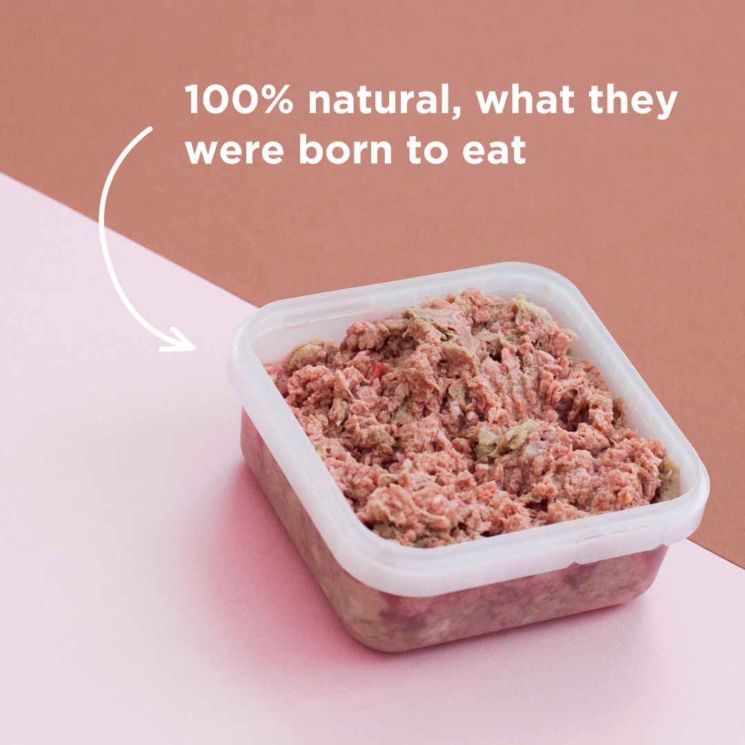 Turkey Raw Dog Food - 500g