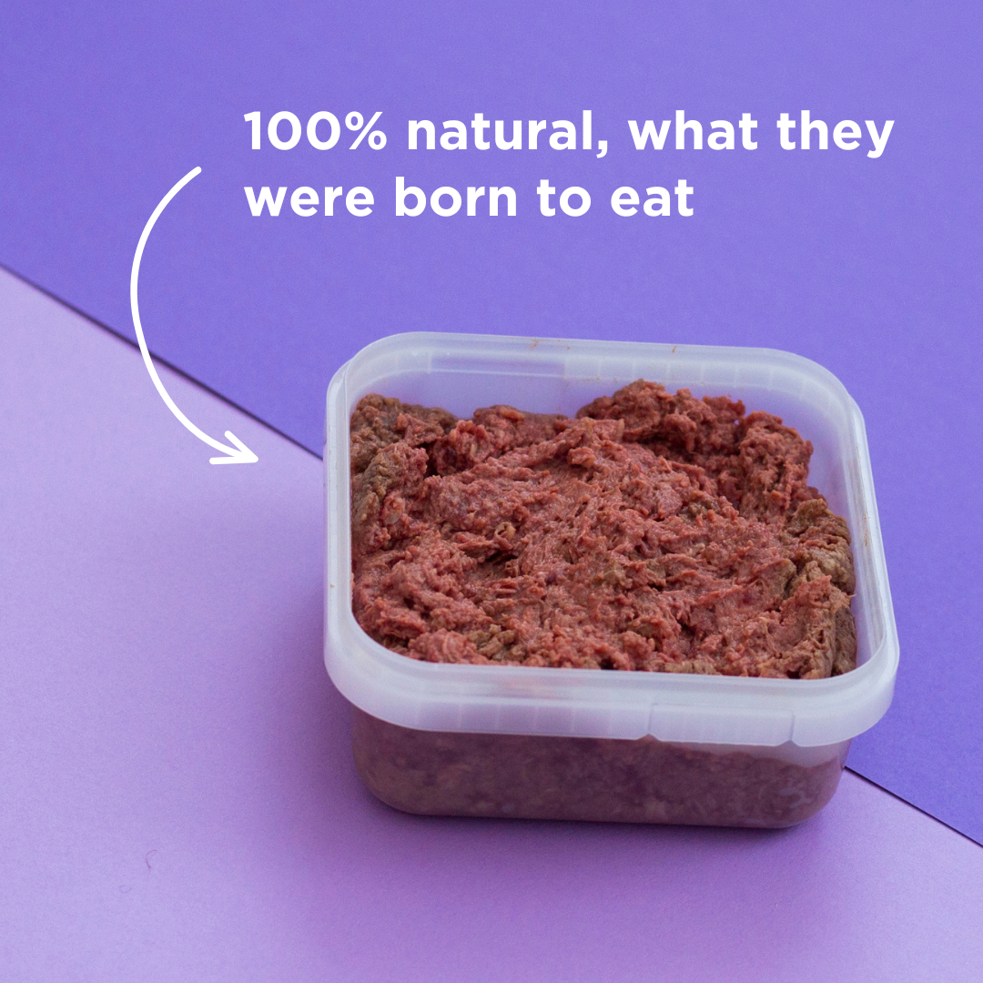 Goat & Venison Raw Dog Food - 500g