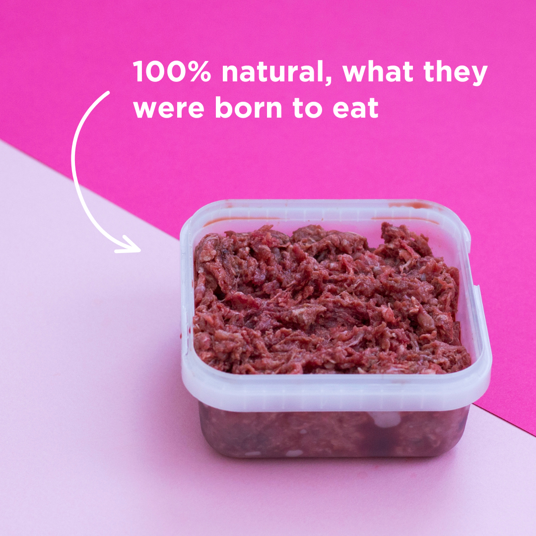 Pork Raw Dog Food - 500g