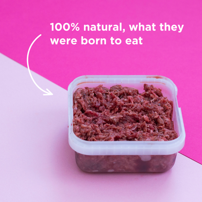 Pork Raw Dog Food - 500g