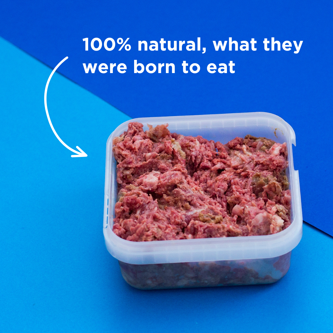 Chicken Raw Dog Food - 500g