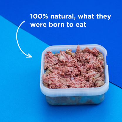 Chicken & Tripe Raw Dog Food - 500g