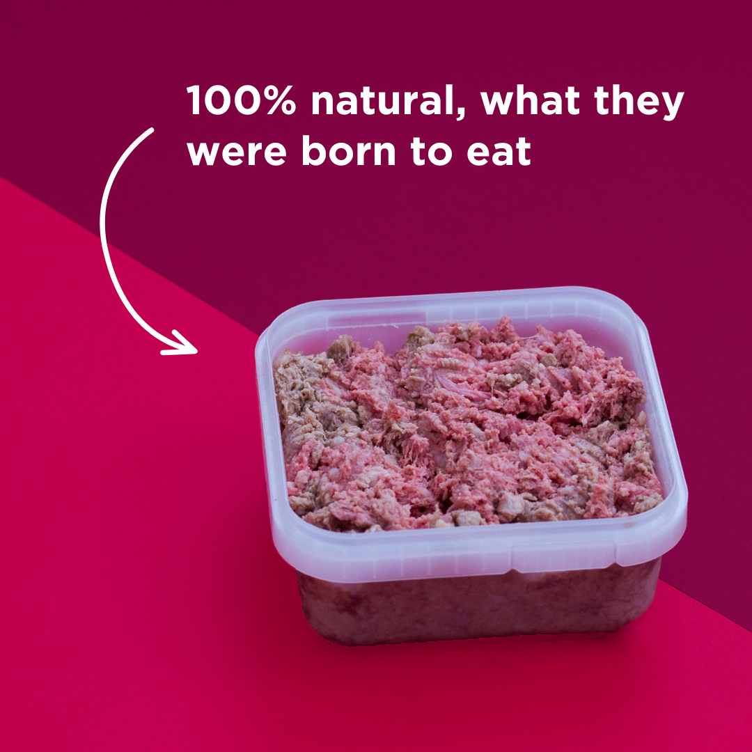 Beef Raw Dog Food - 500g