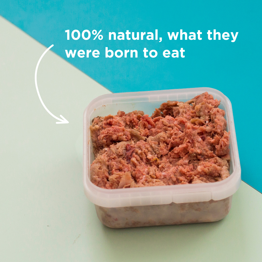 Meaty Mince & Tripe Raw Dog Food - 500g