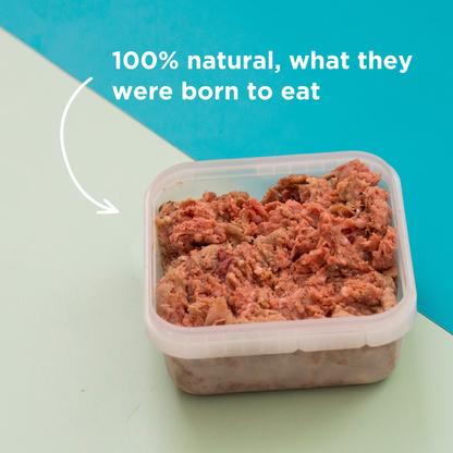 Meaty Mince & Tripe Raw Dog Food - 500g
