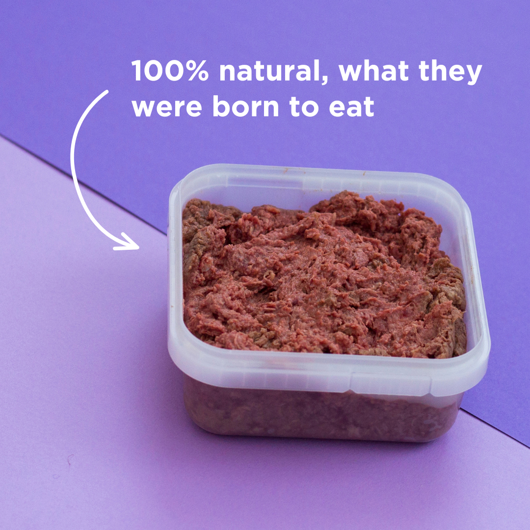 Goat & Goose Raw Dog Food - 500g