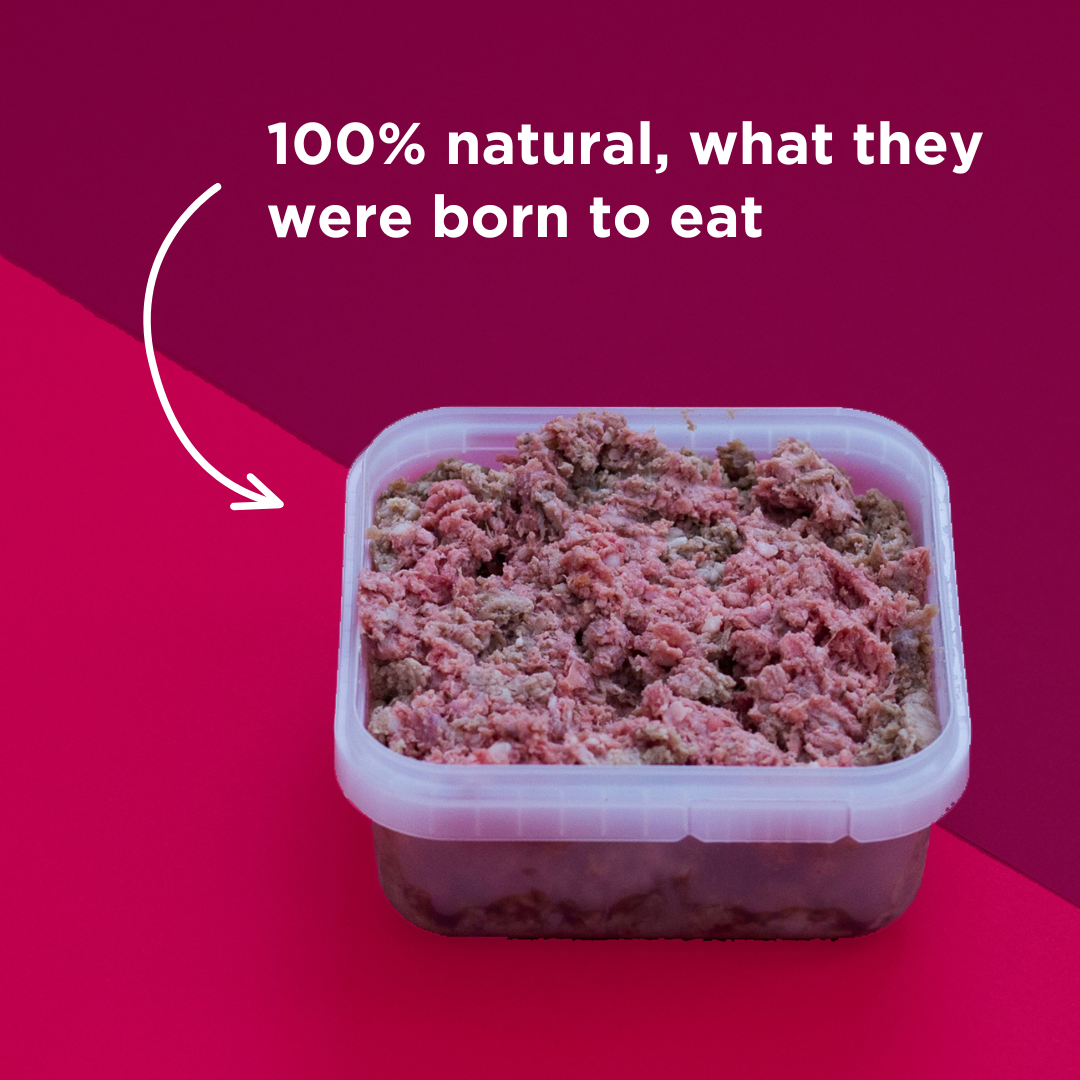 Beef & Tripe Raw Dog Food - 500g