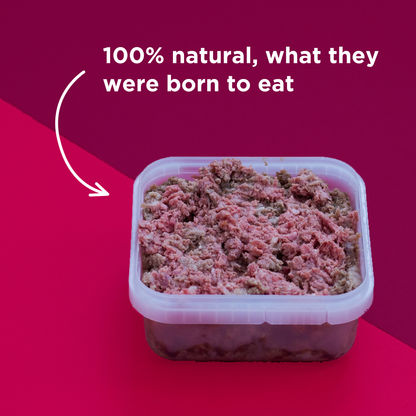 Beef & Tripe Raw Dog Food - 500g