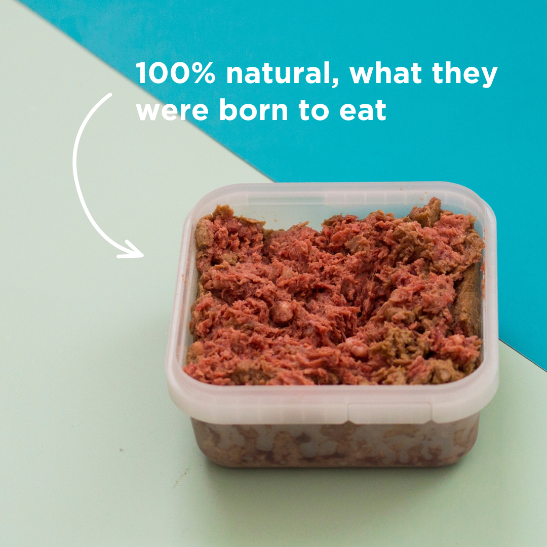 Exotic Meaty Mince Raw Dog Food - 500g