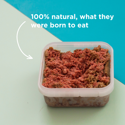 Exotic Meaty Mince Raw Dog Food - 500g