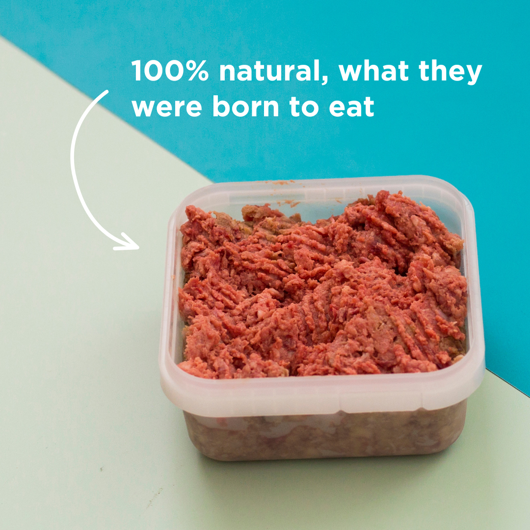 Meaty Mince Raw Dog Food - 500g