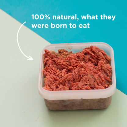 Meaty Mince Raw Dog Food - 500g