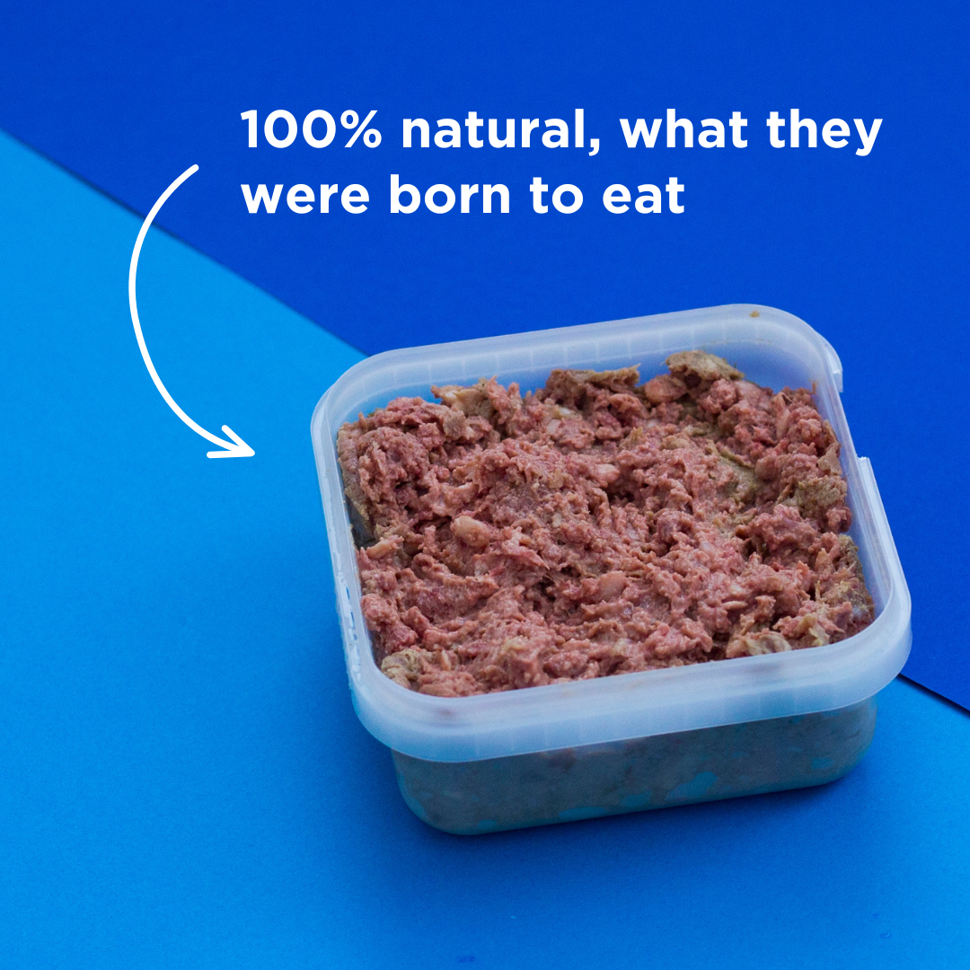 Chicken & Lamb Raw Dog Food - 500g