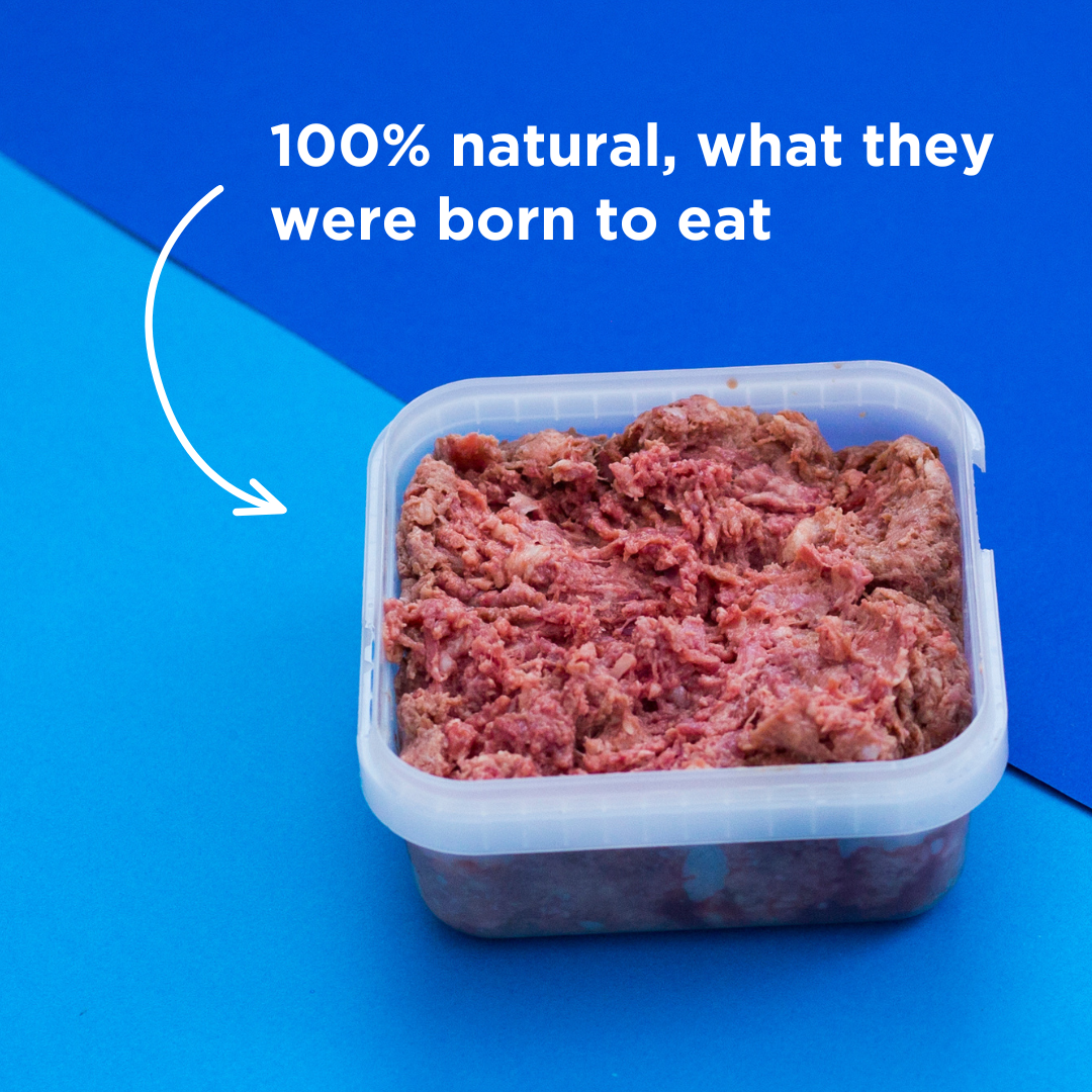 Chicken & Beef Raw Dog Food - 500g