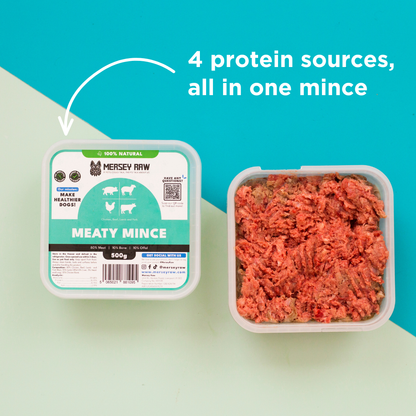 Meaty Mince Raw Dog Food - 500g
