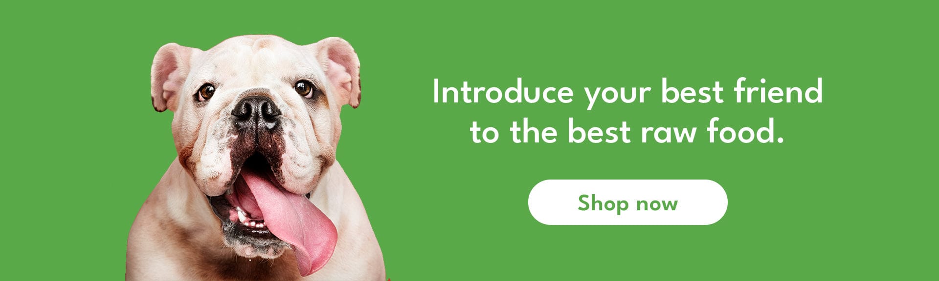 Introduce your best friend to the best raw food.