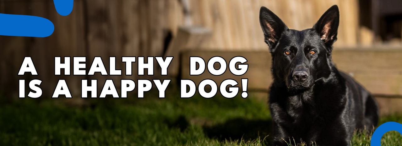 Raw Benefits Premium Dog Food Selection Mersey Raw Dog Food