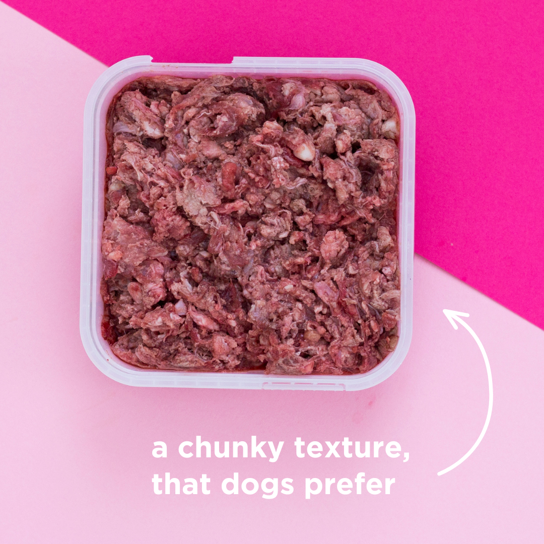 Pork & Lamb Raw Dog Food - 500g