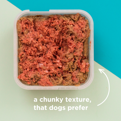 Exotic Meaty Mince Raw Dog Food - 500g