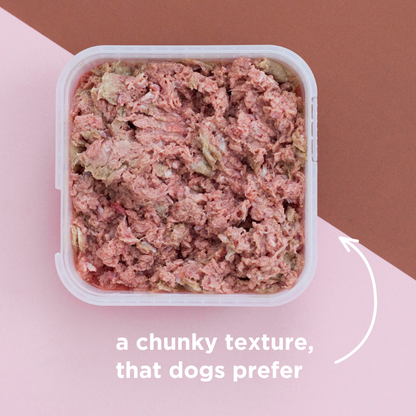 Turkey Raw Dog Food - 500g