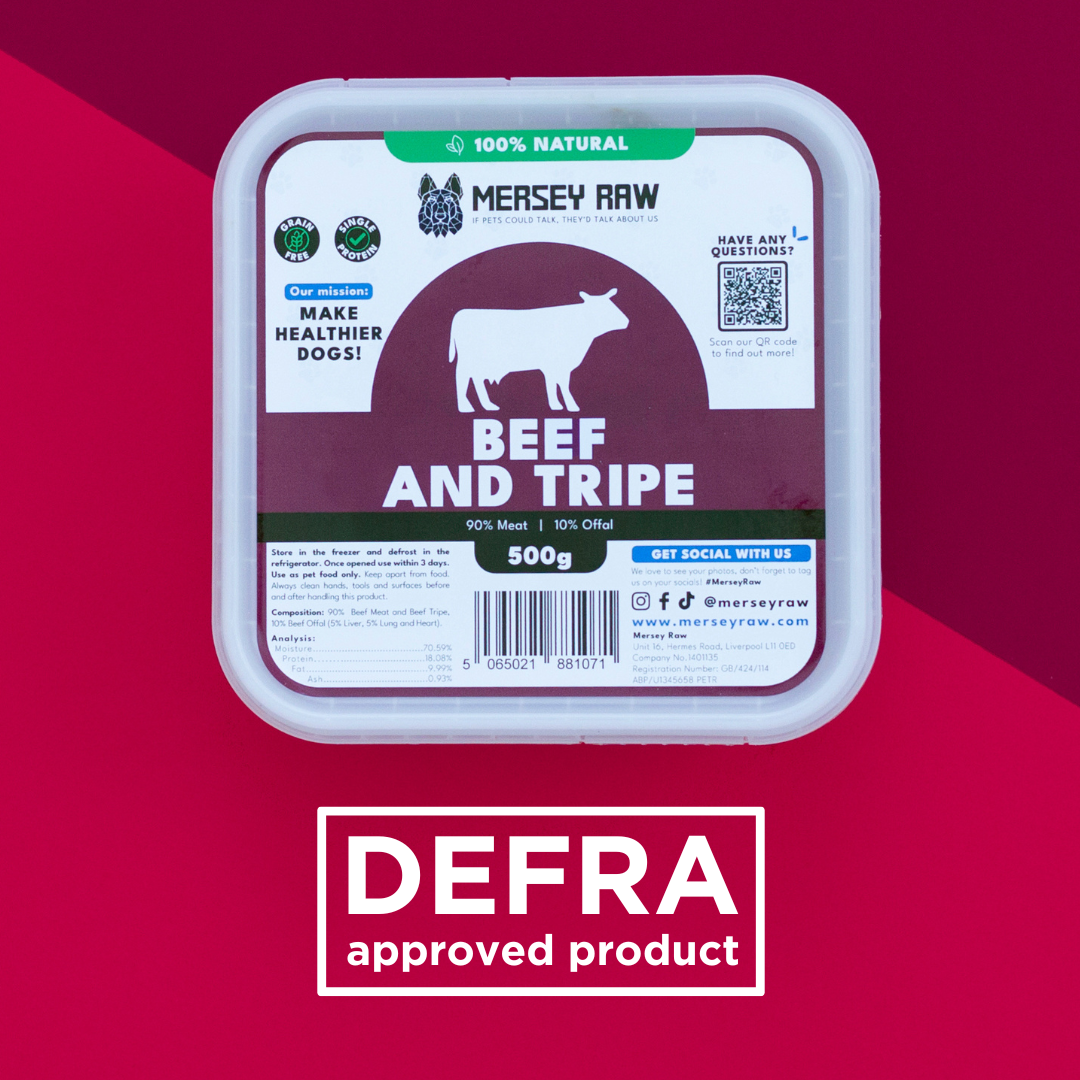 Beef & Tripe Raw Dog Food - 500g