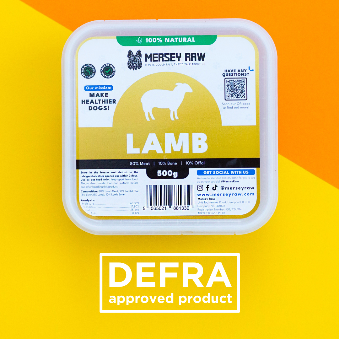 Lamb Raw Dog Food - 500g