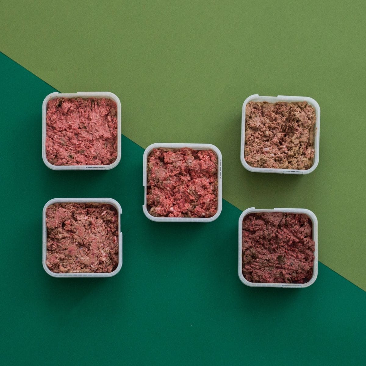 Exotic Raw Dog Food Bundle