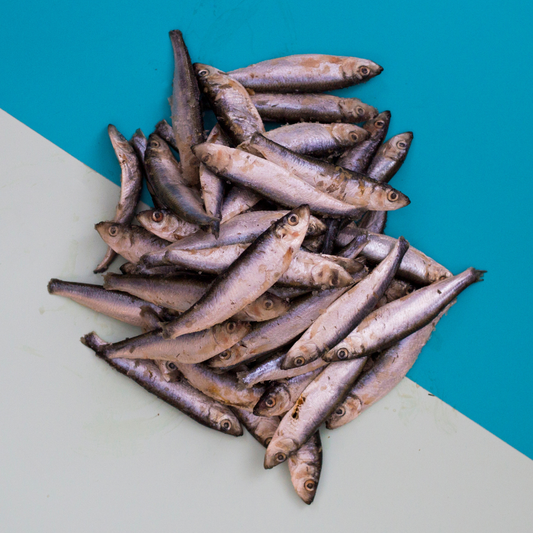 Frozen Raw Sprats - 1kg