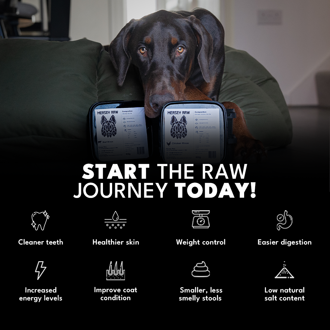 Top-Quality Raw Dog Food: Fast Delivery & Nutritional Excellence
