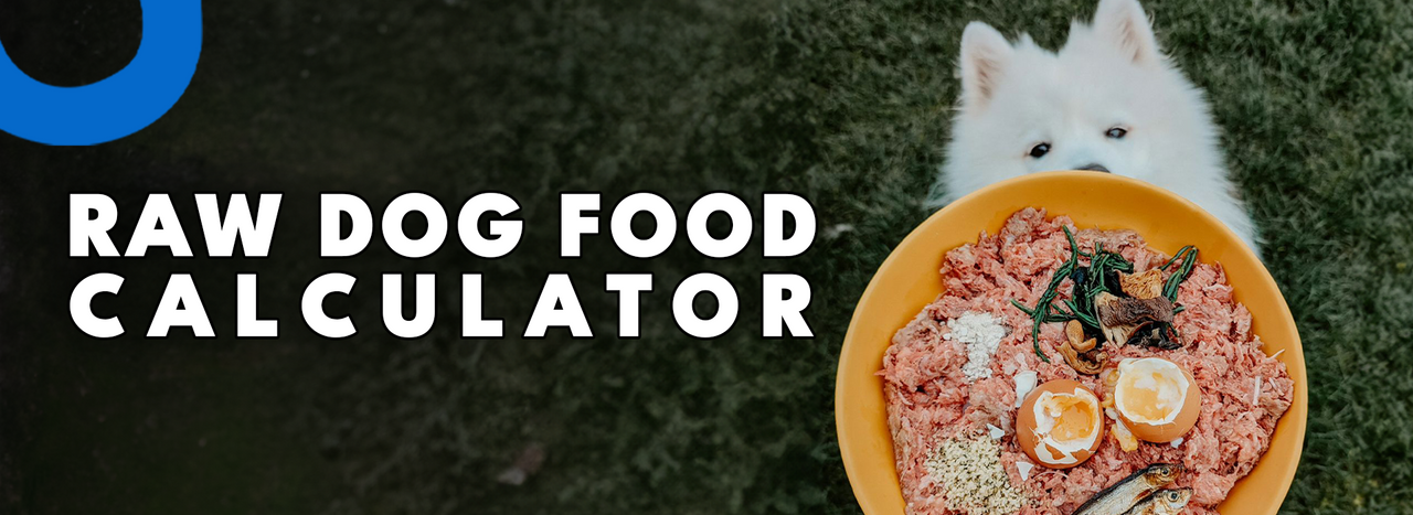 Dog Diet Calculator: Tailored Nutrition for Optimal Health