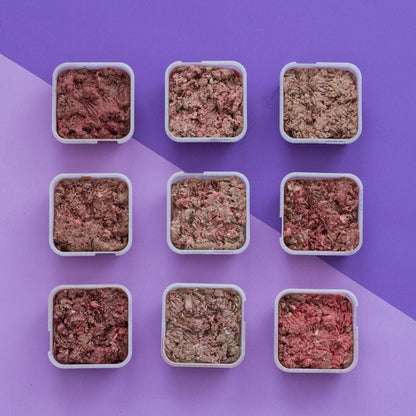 Raw Dog Food Bundle