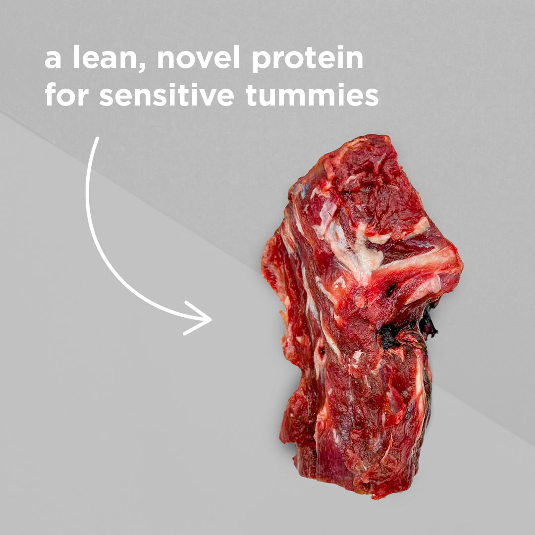 A raw cut of venison neck meat with visible fat marbling, shown on a light grey background with white text reading 'a lean, novel protein for sensitive tummies' and a curved arrow pointing toward it.